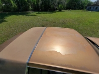 1981 Buick Riviera for sale in Michigan (ID-123197)