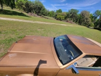 1981 Buick Riviera for sale in Michigan (ID-123197)