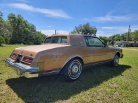 1981 Buick Riviera for sale in Michigan (ID-123197)