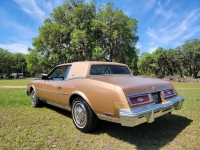 1981 Buick Riviera for sale in Michigan (ID-123197)