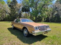 1981 Buick Riviera for sale in Michigan (ID-123197)