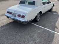 1981 Buick Riviera for sale in Michigan (ID-128008)