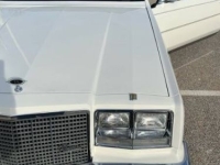 1981 Buick Riviera for sale in Michigan (ID-128008)