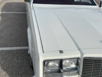 1981 Buick Riviera for sale in Michigan (ID-128008)