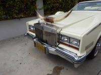 1981 Cadillac Eldorado for sale (ID-108061)