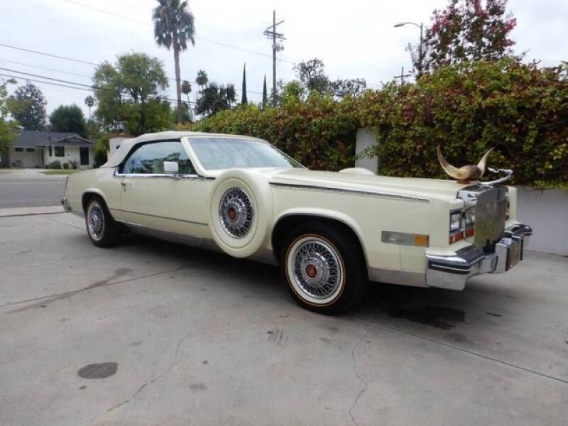 1981 Cadillac Eldorado for sale in Riverhead, New York (ID-110905)