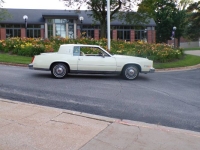 1981 Cadillac Eldorado for sale in Michigan (ID-155509)