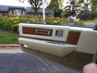 1981 Cadillac Eldorado for sale in Michigan (ID-155509)