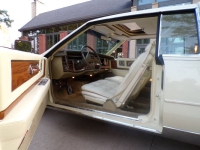 1981 Cadillac Eldorado for sale in Michigan (ID-155509)