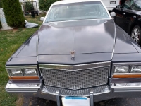 1981 Cadillac Fleetwood for sale in Michigan (ID-135892)