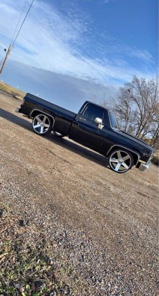 1981 Chevrolet 1500 for sale in Michigan (ID-122274)