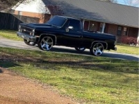 1981 Chevrolet 1500 for sale in Michigan (ID-122274)