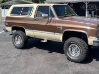 1981 Chevrolet Blazer for sale in Michigan (ID-130476)