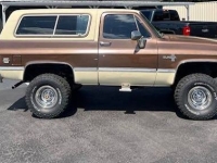 1981 Chevrolet Blazer for sale in Michigan (ID-130476)