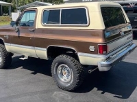 1981 Chevrolet Blazer for sale in Michigan (ID-130476)