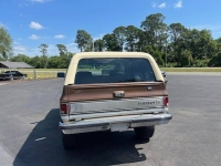 1981 Chevrolet Blazer for sale in Michigan (ID-130476)