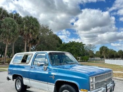 1981 Chevrolet Blazer for sale