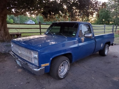 1981 Chevrolet C10 for sale