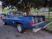 1981 Chevrolet C10 for sale in Michigan (ID-104676)