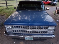 1981 Chevrolet C10 for sale in Michigan (ID-104676)