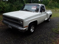 1981 Chevrolet C10 for sale in Michigan (ID-106564)