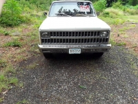 1981 Chevrolet C10 for sale in Michigan (ID-106564)