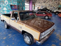 1981 Chevrolet C10 for sale (ID-119807)