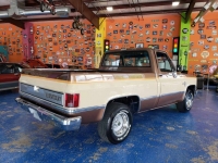 1981 Chevrolet C10 for sale (ID-119807)