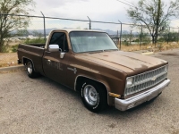 1981 Chevrolet C10 for sale in Michigan (ID-123882)