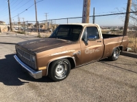1981 Chevrolet C10 for sale in Michigan (ID-123882)