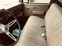 1981 Chevrolet C10 for sale in Michigan (ID-123882)