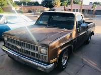 1981 Chevrolet C10 for sale in Michigan (ID-123882)