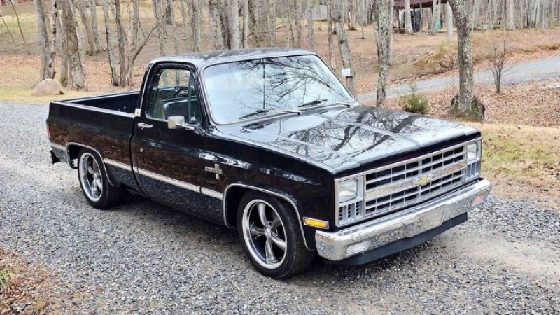 1981 Chevrolet C10 for sale in Michigan (ID-125612)