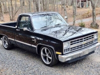 1981 Chevrolet C10 for sale in Michigan (ID-125612)
