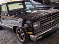 1981 Chevrolet C10 for sale in Michigan (ID-125612)