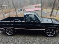 1981 Chevrolet C10 for sale in Michigan (ID-125612)