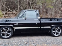 1981 Chevrolet C10 for sale in Michigan (ID-125612)