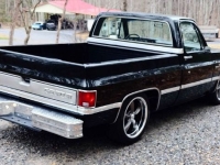 1981 Chevrolet C10 for sale in Michigan (ID-125612)