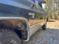 1981 Chevrolet C10 for sale in Michigan (ID-126138)