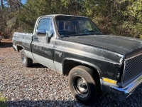 1981 Chevrolet C10 for sale in Michigan (ID-126138)