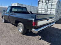 1981 Chevrolet C10 for sale in Michigan (ID-126537)
