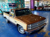 1981 Chevrolet C10 for sale in Michigan (ID-127087)