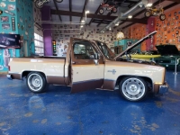 1981 Chevrolet C10 for sale in Michigan (ID-127087)