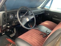 1981 Chevrolet C10 for sale in Michigan (ID-129967)