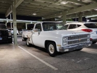 1981 Chevrolet C10 for sale in Michigan (ID-129992)