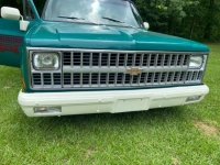 1981 Chevrolet C10 for sale in Michigan (ID-130964)
