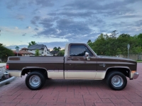 1981 Chevrolet C10 for sale (ID-128052)