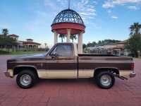 1981 Chevrolet C10 for sale (ID-128052)