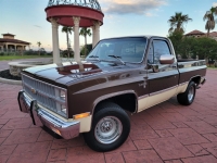 1981 Chevrolet C10 for sale (ID-128052)