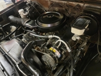 1981 Chevrolet C10 for sale (ID-128052)